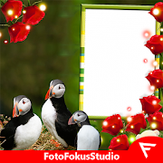 Atlantic Puffin Insta DP  Icon