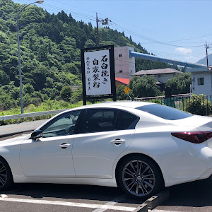 スカイライン RV37