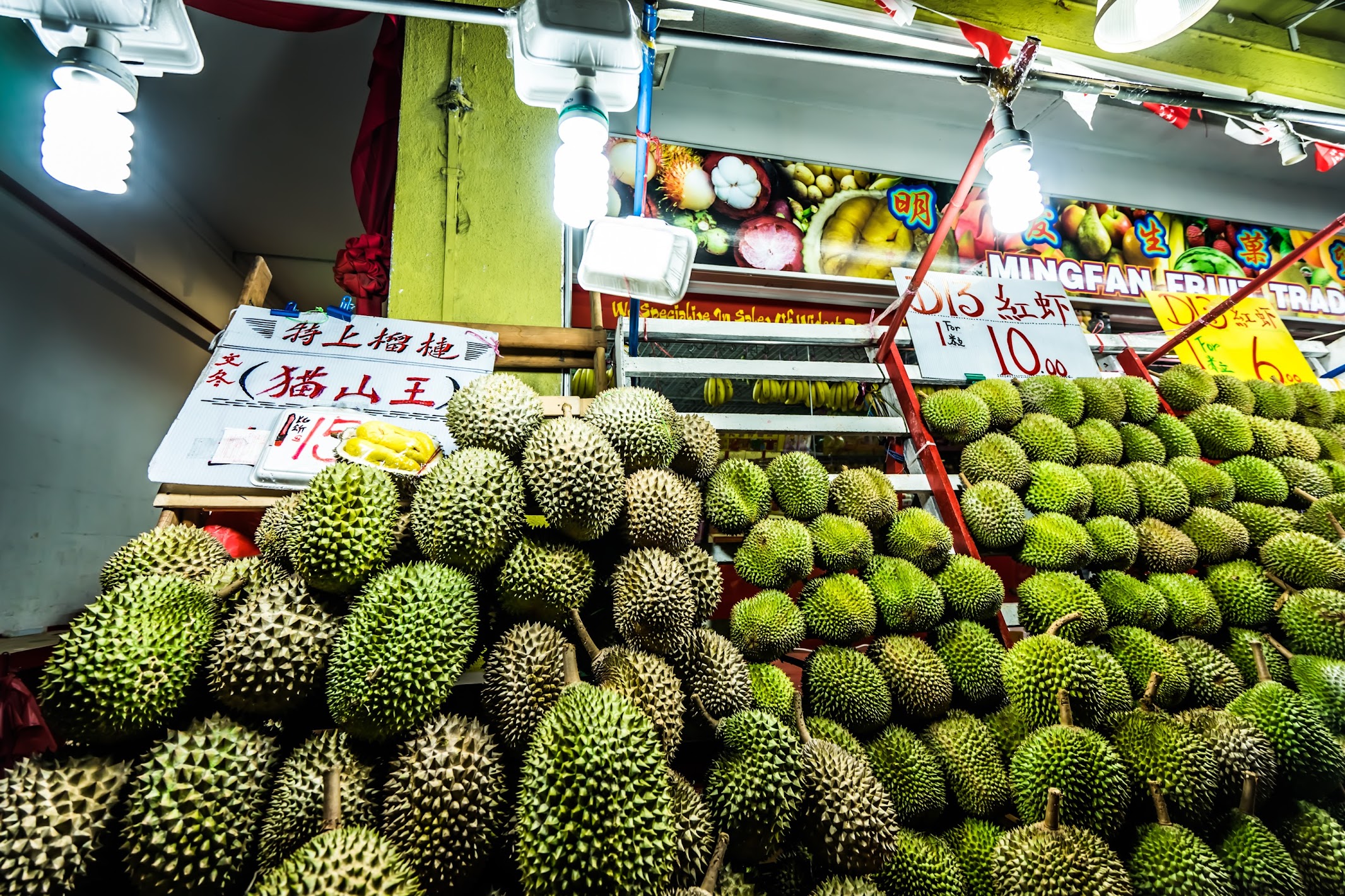 Singapore Durian