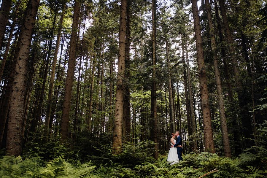 Hochzeitsfotograf Kamil Turek (kamilturek). Foto vom 11. Juli 2017