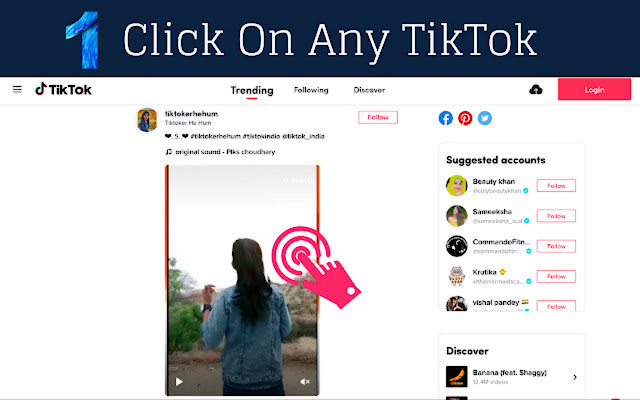 Descargador de video TikTok