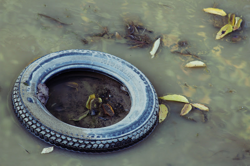 ruota in acqua di daria