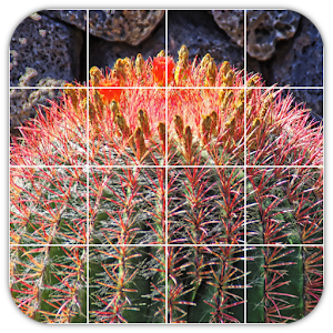 Download Tile Puzzles · Cactus For PC Windows and Mac