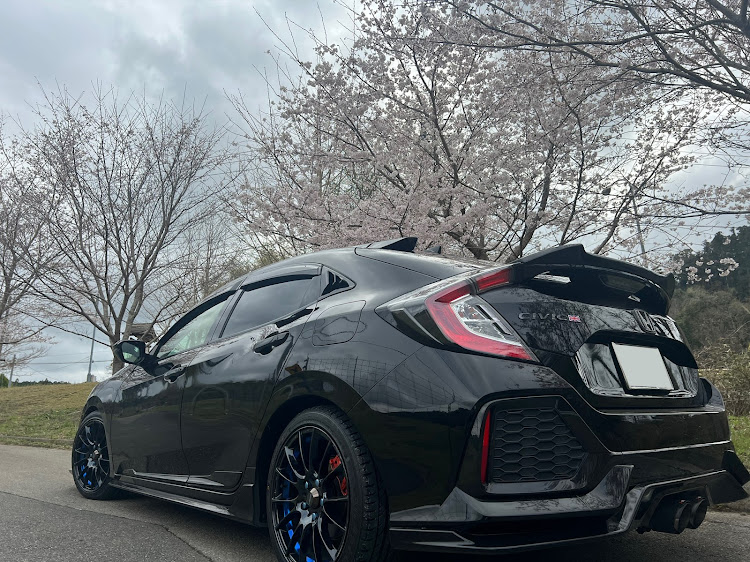 シビック(欧州HB)のシビックハッチバック・FK7・サクラと愛車・桜とコラボ🌸・訳あってインチダウンしておりますに関するカスタム事例の投稿画像1枚目
