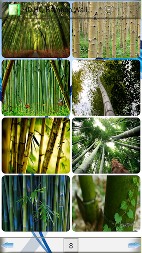 HD HQ Bamboo Wallpapers