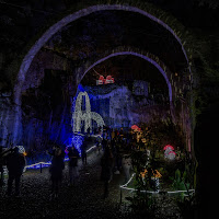 La festa nel bosco di 