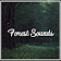 Relax Forest Sounds icon