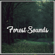 Relax Forest Sounds: Ambient Nature Sounds Download on Windows