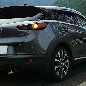 CX-3 DKEFW