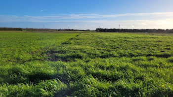 terrain à Villedoux (17)