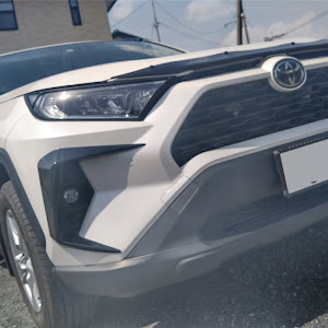 RAV4 MXAA54