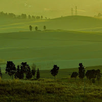 La campagna di Orciano (PI) di 