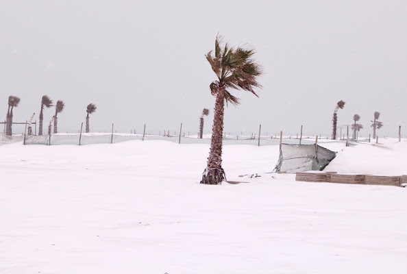 Mare d'inverno  di caterina_kitta