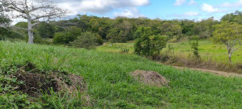 terrain à Petit canal (971)