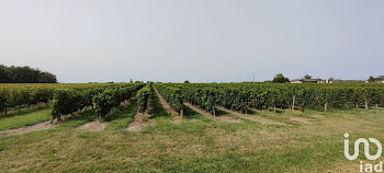 terrain à Libourne (33)