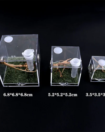 1set Spider Ant Insect Feeding Box Breathable Terrarium T... - 3