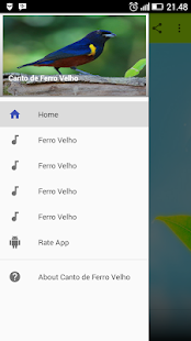 Canto de Passaro Ferro Velho(圖1)-速報App