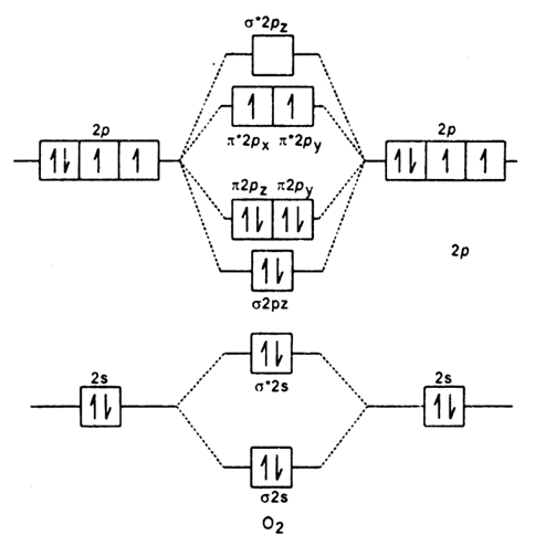 Solution Image