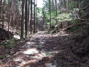 その後も舗装路が