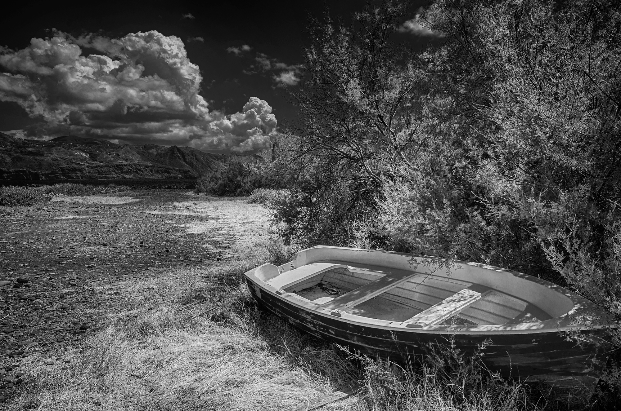 Nessuno sa cosa ci aspetta per il futuro di ZioSeb Photography