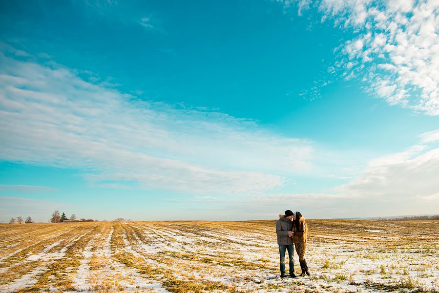 Wedding photographer Anastasiya Shaferova (shaferova). Photo of 10 February 2014