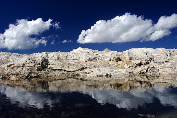 UN MONDO DIVISO A META' di speedlite