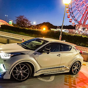 C-HR ZYX10