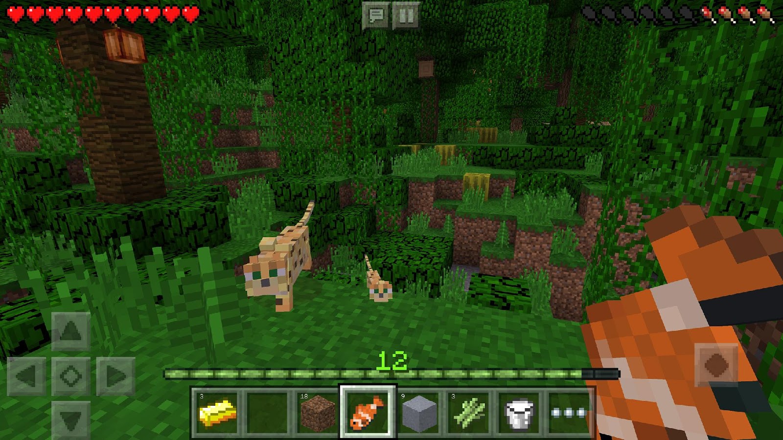   Minecraft: Pocket Edition: captura de pantalla 