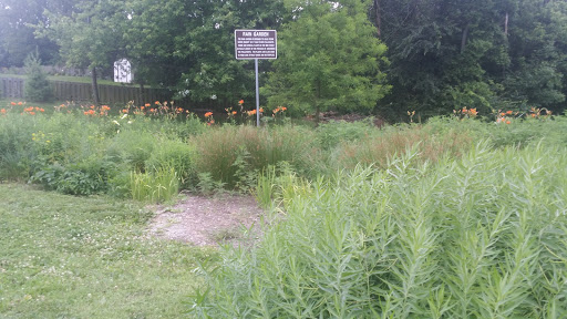 Rain Garden