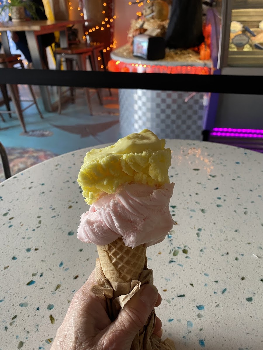 GF cone with dairy free gelato