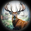 Deer Hunt: Shooting Hunting 3D