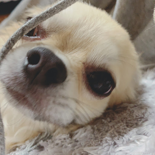 なーのプロフィール画像