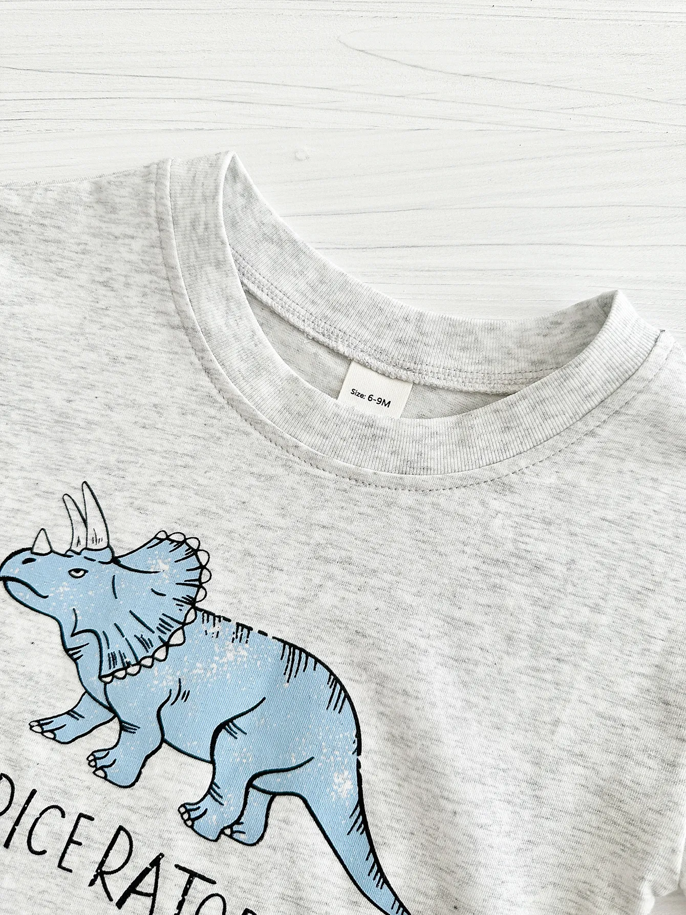 Title 17, Ensemble bébé T-shirt dinosaure imprimé et shor...