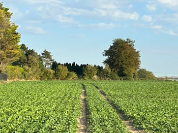 terrain à Sains-en-Gohelle (62)