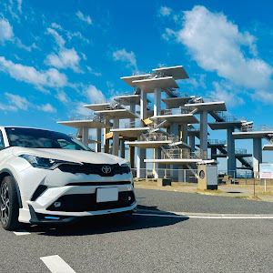 C-HR NGX10