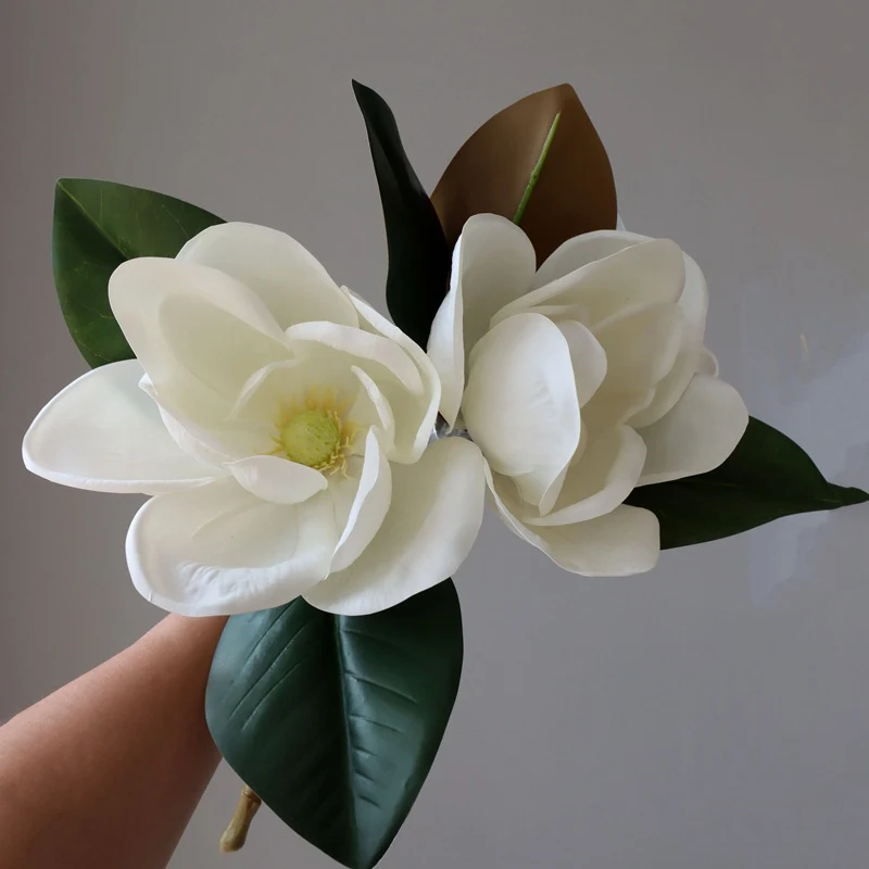images slider number - 6