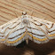 Chestnut-marked Pondweed Moth - 4761