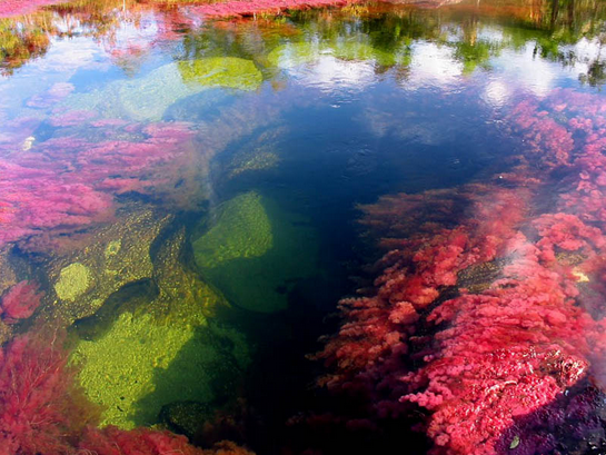 Stunning views of the River of Five Colours, Colombia