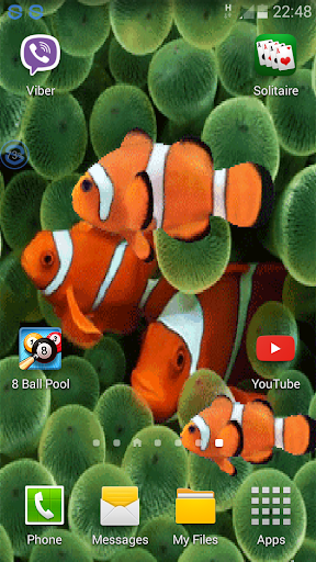 Clownfish Home Live Wallpaper