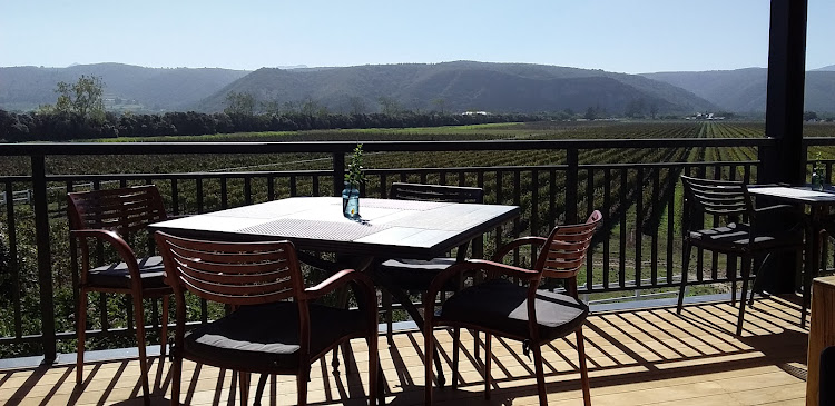 The picture-perfect view of the vineyards from the Bitou Vineyards Restaurant