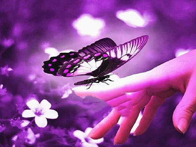 Title 5, Butterfly Diamond Painting, Animal Diamond Embr...