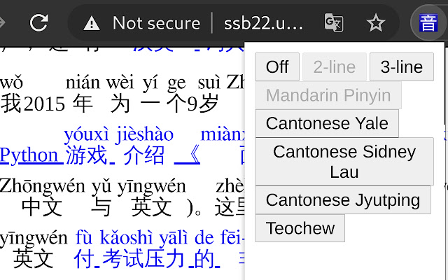 Pinyin Web chrome extension