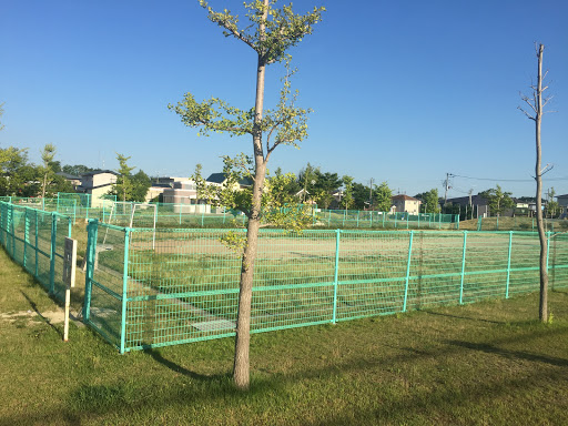 萩洗公園 サッカー場