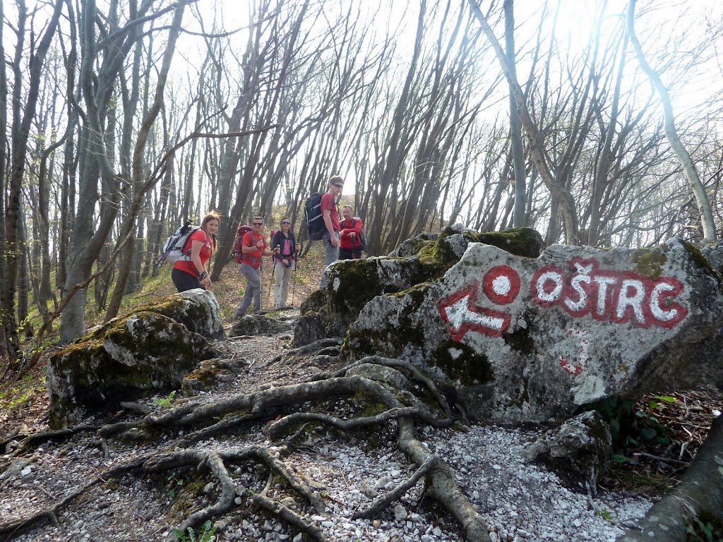 Samoborsko gorje - Plešivica i Oštrc, 24.2.2019.