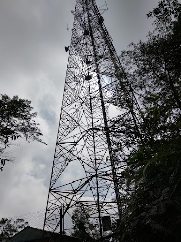 Mount Pulai tower