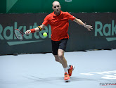 Steve Darcis leidt België naar eerste zege op Davis Cup