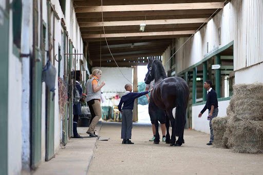 HORSE PLAY: Children with special needs from the East London Child and Youth Care Centre interact with a horse called Janna Tjardas as part of a horse riding programme driven by German volunteers and Nicole Koenig of Lower Saxony. The children will participate in a horse riding festival at Cavalo Stables on Saturday morning Picture: MARK ANDREWS