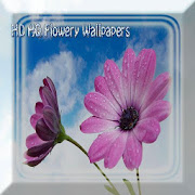 HD HQ Flowery Wallpapers  Icon