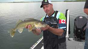 Alberta's Rolling Hills Reservoir walleye thumbnail