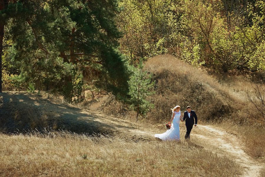 Bryllupsfotograf Svetlana Leto (svetaleto). Bilde av 18 april 2016